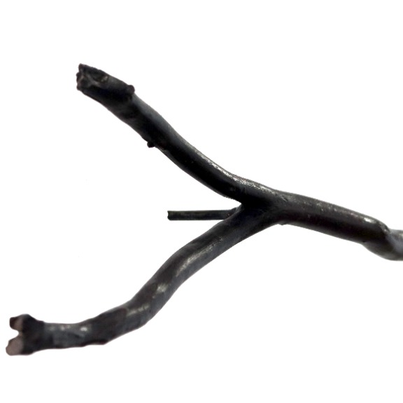 Jennyfer Stratman: Graft EH9 image 4