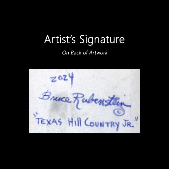 Bruce Rubenstein: Texas Hill Country Jr. image 9